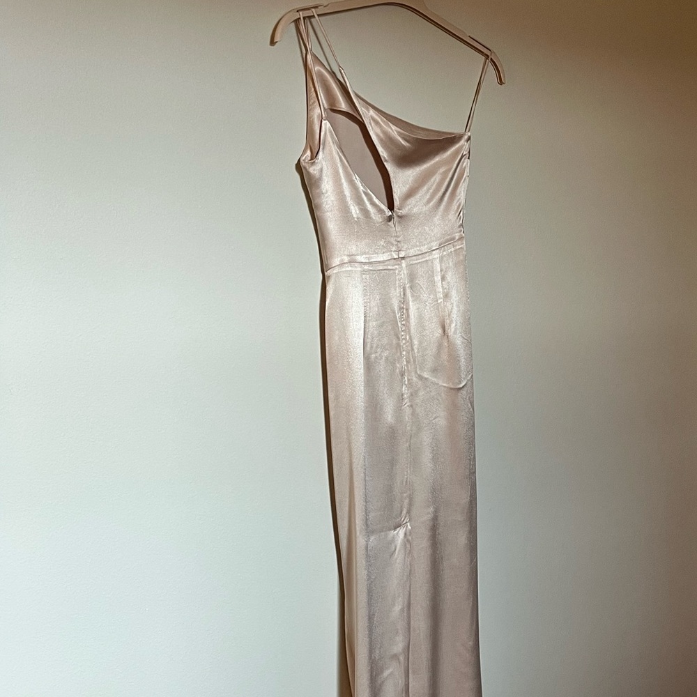 NWT Petal & Pup Tienna Dress in Champagne - Picture 8 of 10
